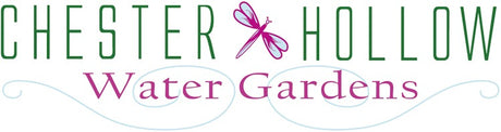 Chester Hollow Water Gardens