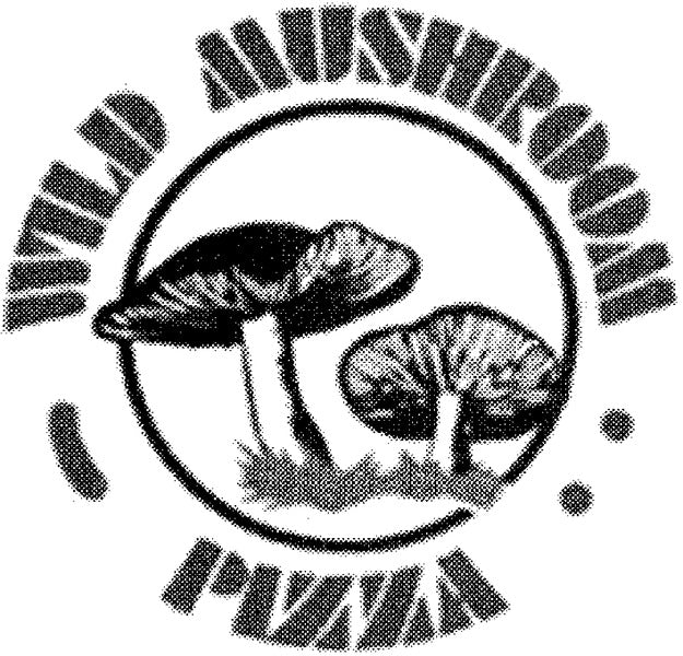 Wild Mushroom Pizza