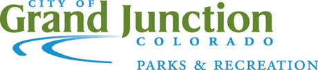 Lincoln Park Moyer Pool