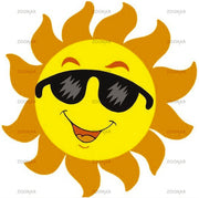 Total Image Window Tinting