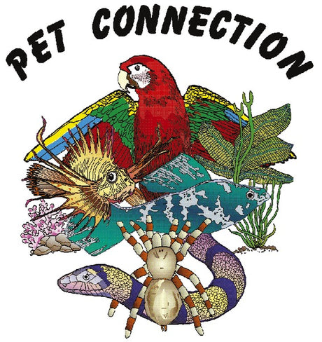 Pet Connection