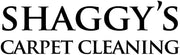 Shaggy's Carpet Cleaning