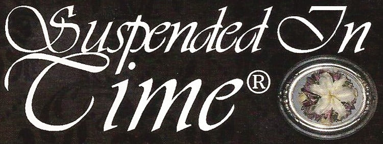 Suspended In Time
