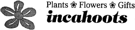 Incahoots