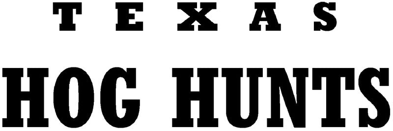 Texas Hog Hunts