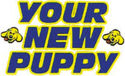 Your New Puppy
