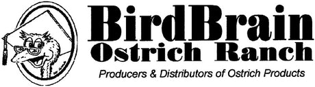 Bird Brain Ostrich Ranch