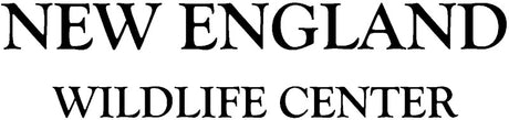 New England Wildlife Center