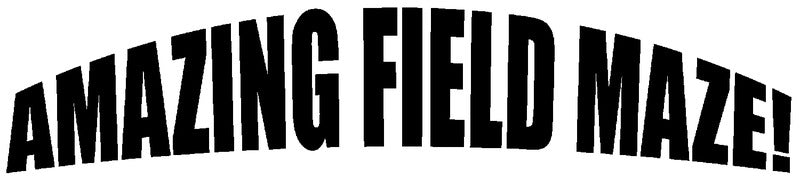 Amazing Field Maze
