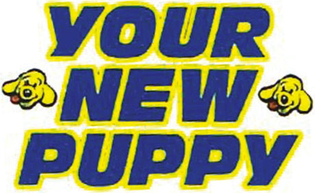 Your New Puppy