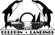 Dolphin Landing