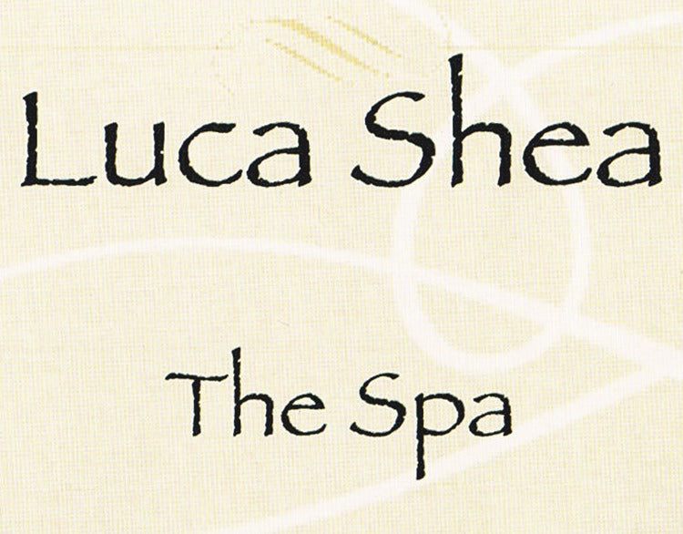 Luca Shea The Salon