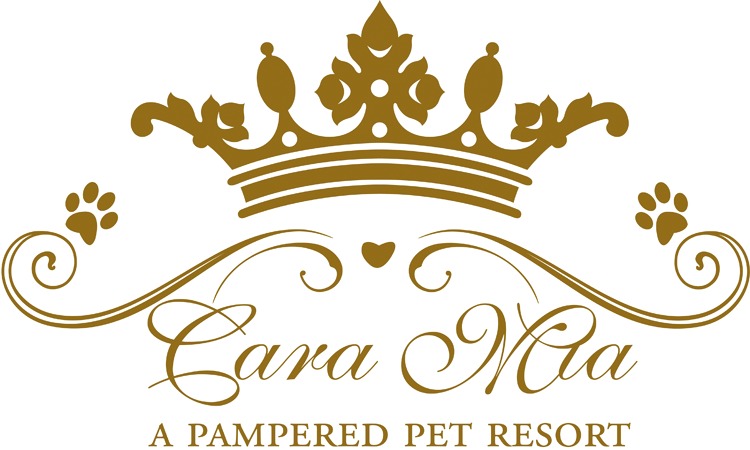Cara Mia a Pampered Pet Resort