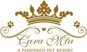 Cara Mia a Pampered Pet Resort