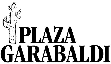 Plaza Garibaldi