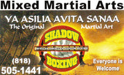 Mixed Martial Arts