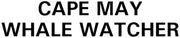 Cape May Whale Watcher