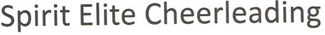 Spirit Elite Cheerleading
