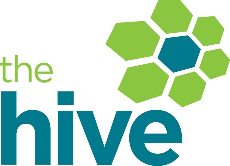 The Hive Bouldering Gym