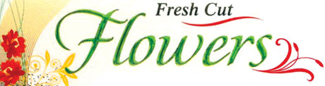 Fresh Cut Flowers