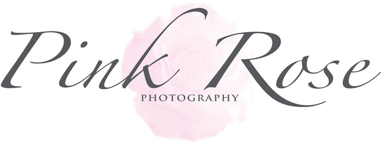 Pink Rose Photography